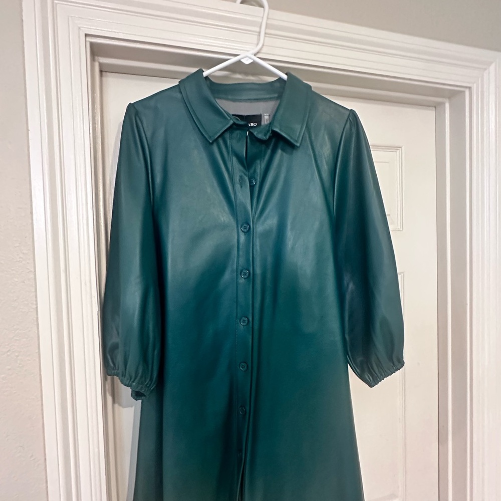 Dolce Cabo Green Mini Dress